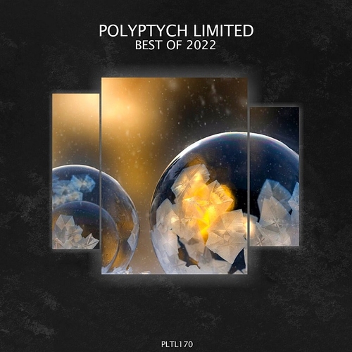 VA - Polyptych Limited Best Of 2022 [PLTL170]